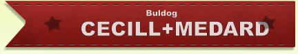 CECILL+MEDARD Buldog